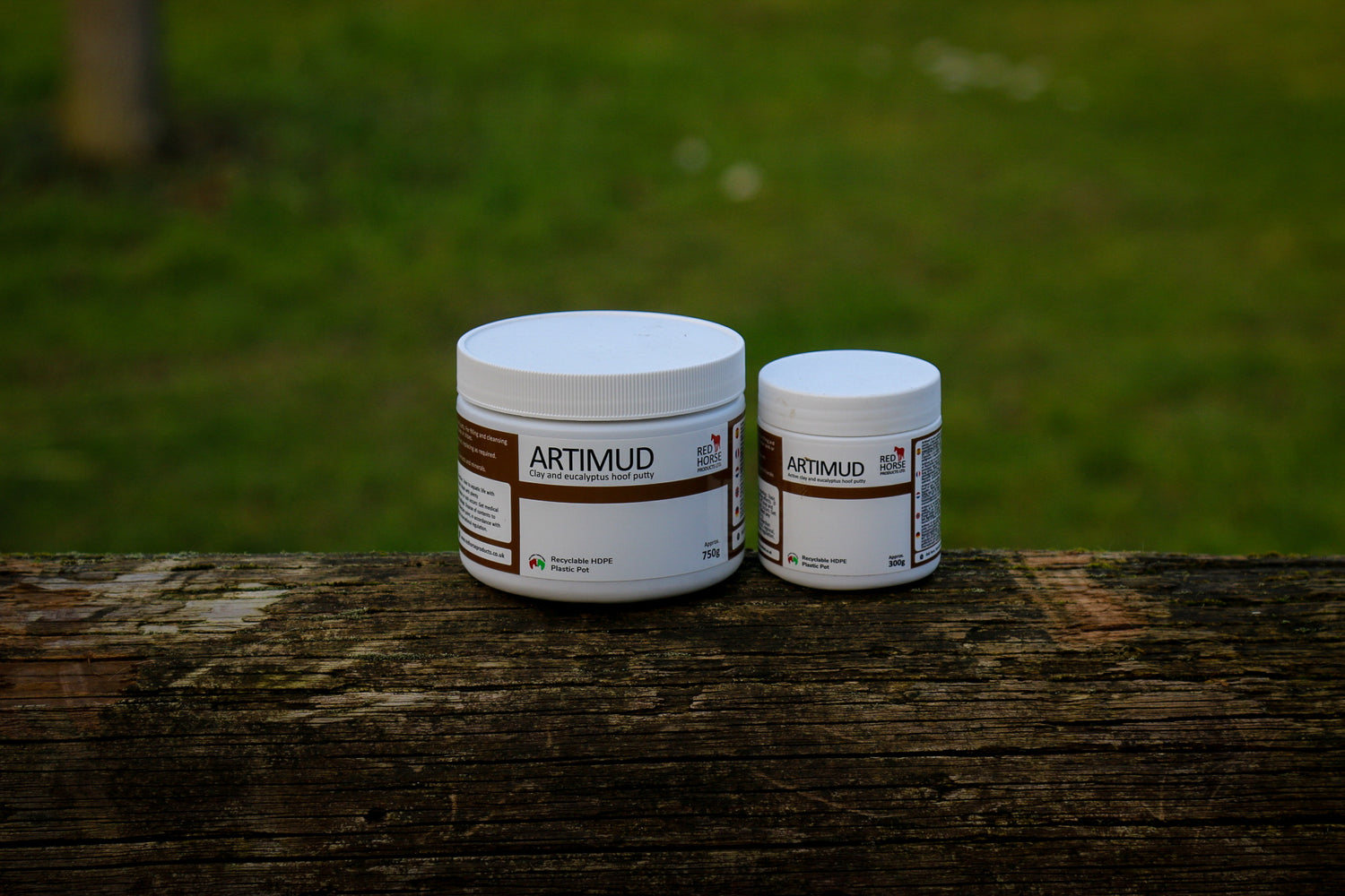 Artimud