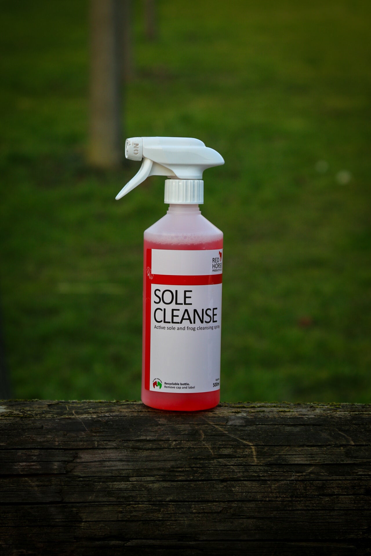 SoleCleanse