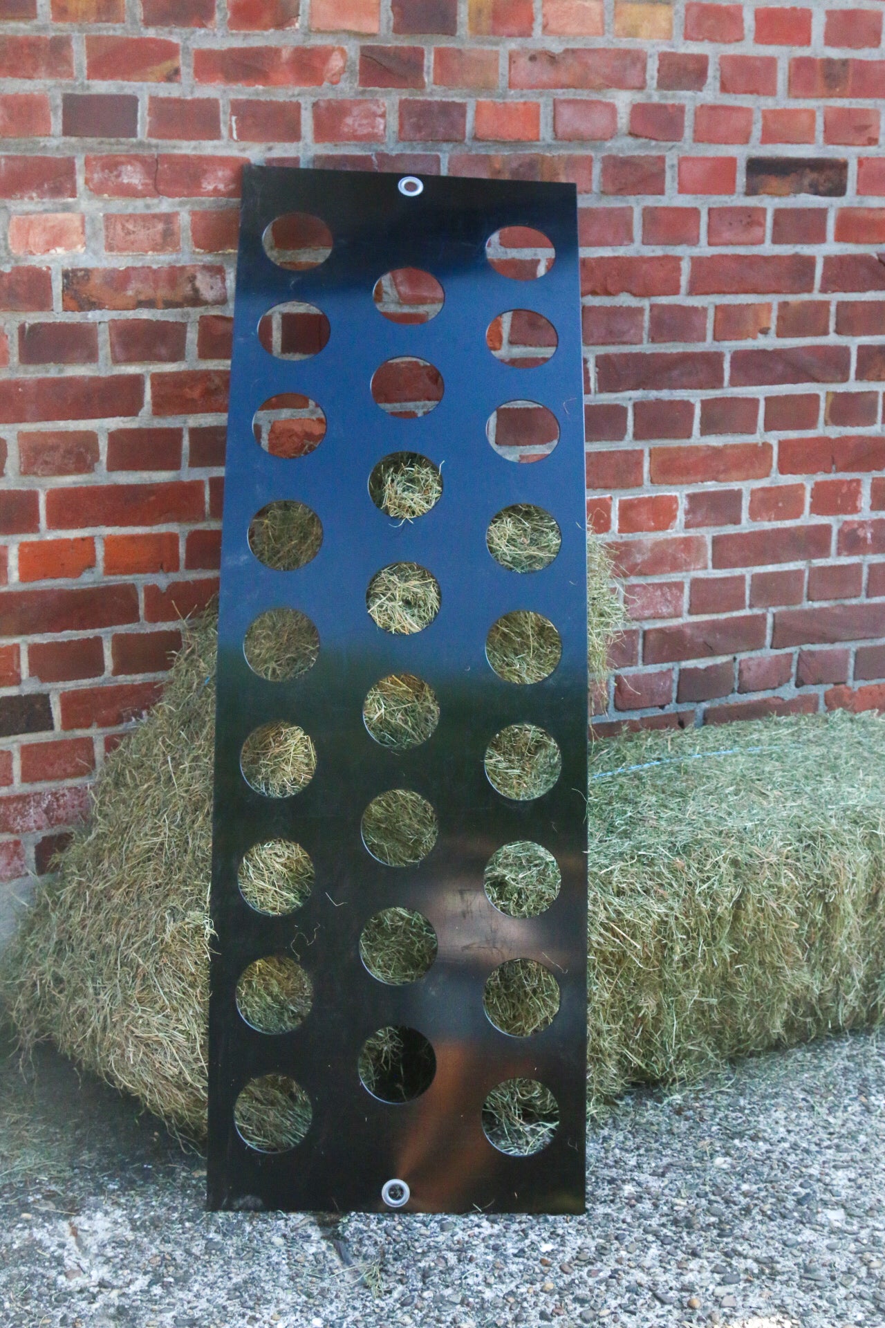 Frisslangsam Fressgitter Lang