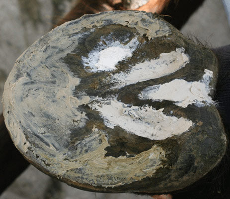 field-paste-and-artimud-in-use-sm-1